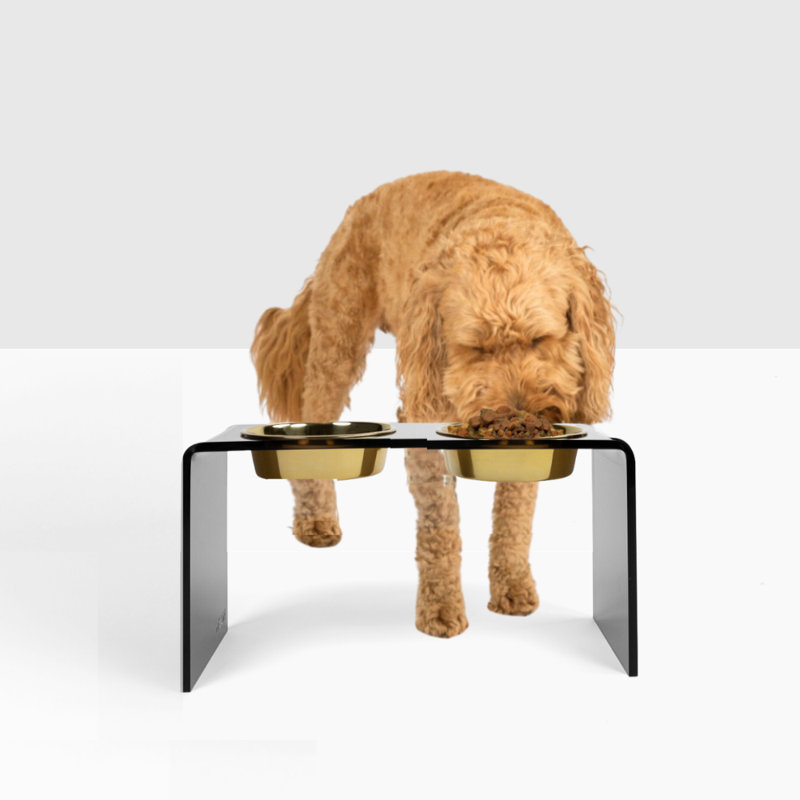 Acrylic Double Bowl Elevated Pet Feeder, Gold