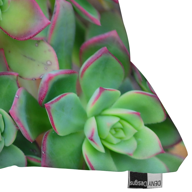 Coussin décoratif intérieur / extérieur Lisa Argyropoulos Succulents