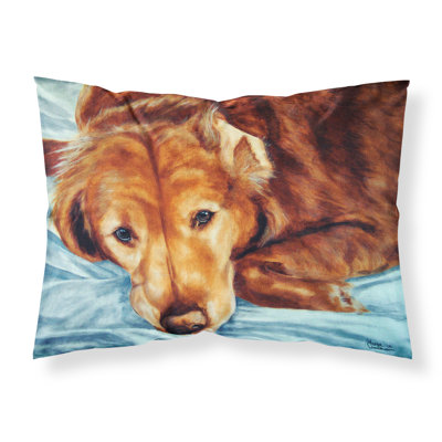Microfiber