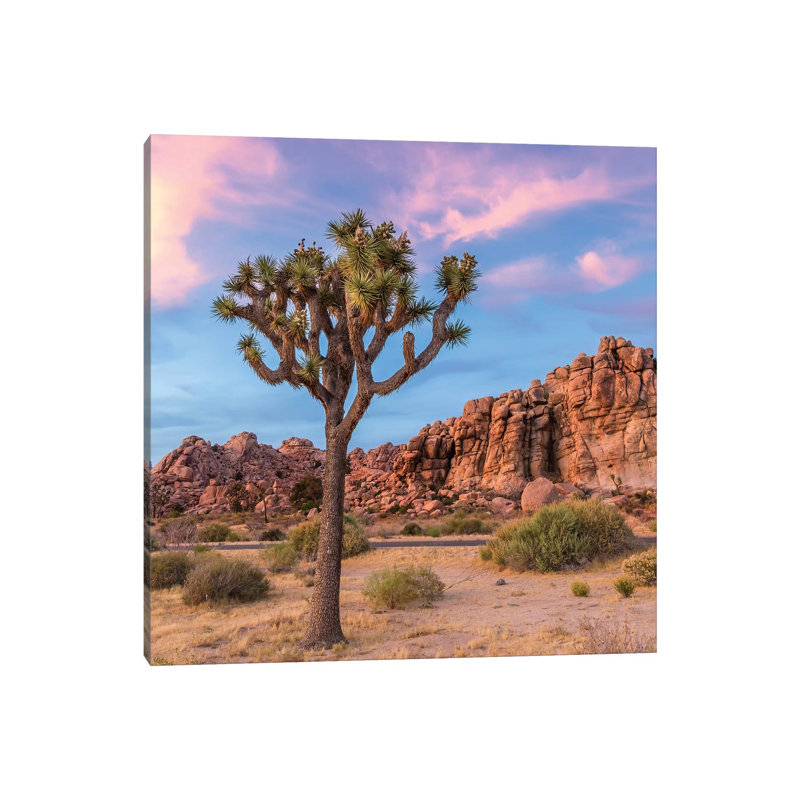 Joshua Tree Sunset Mood par Melanie Viola - Toile tendue, estampe numérique sur toile tendue, H 12 po x l 12 po x P 0,75 po