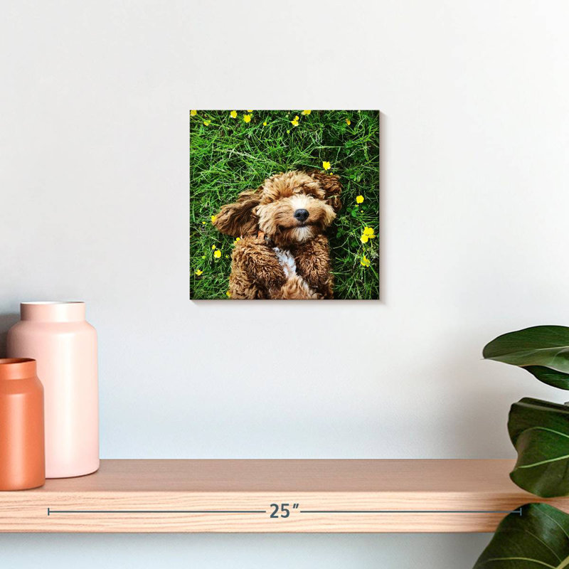 Crowap Happy Cockapoo Dog, H 10 po x l 10 po
