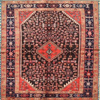 Oriental Indoor Rug
