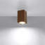 Flush Mount