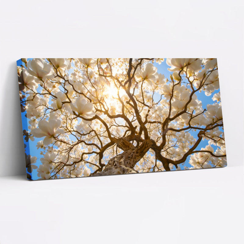 Ensemble de 1 tableau sur toile tendue représentant des fleurs de magnolia au soleil, H 28 po x l 58 po