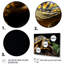 Gros plan sur une tortue, portrait sur toile-115646058-115646059