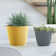 Norden Home Decatur Pot Planter | Wayfair.co.uk