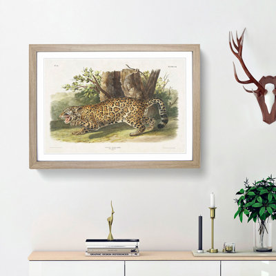 Jaguar by J.W. Audubon - Framed Print