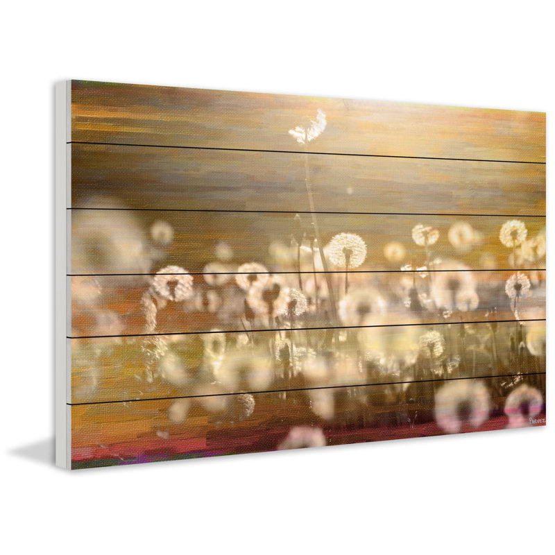«Field» par Parvez Taj - reproduction de photo sur bois sans cadre, H 12 po x l 18 po x P 1,5 po