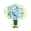 Hydrangeas Arranged in Clear Glass Vase-1541245387