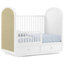 Aspen 4-In-1 Convertible Crib With Underdrawer, White With Textured Oat-260314992