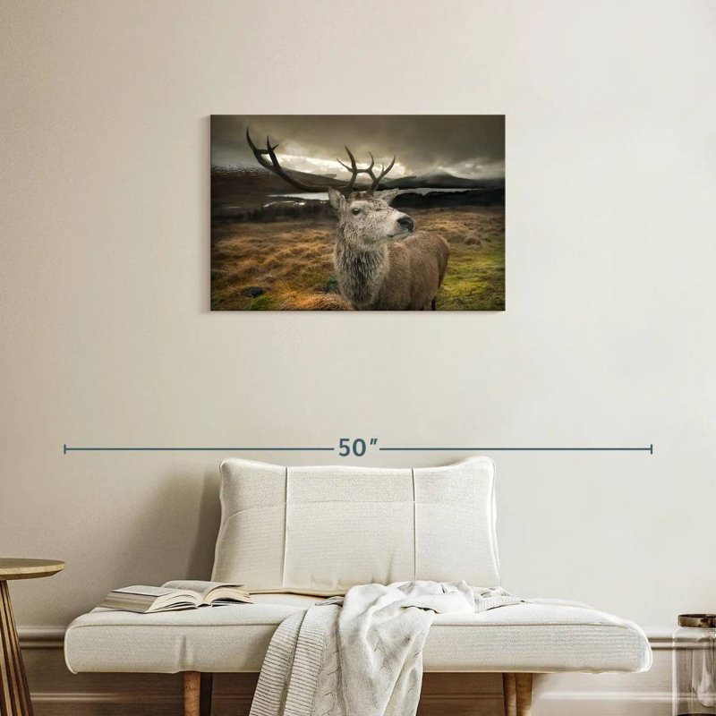 Cerf Bramogène, H 20 po x l 30 po