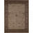 Soledad Oriental Indoor Rug-40283997