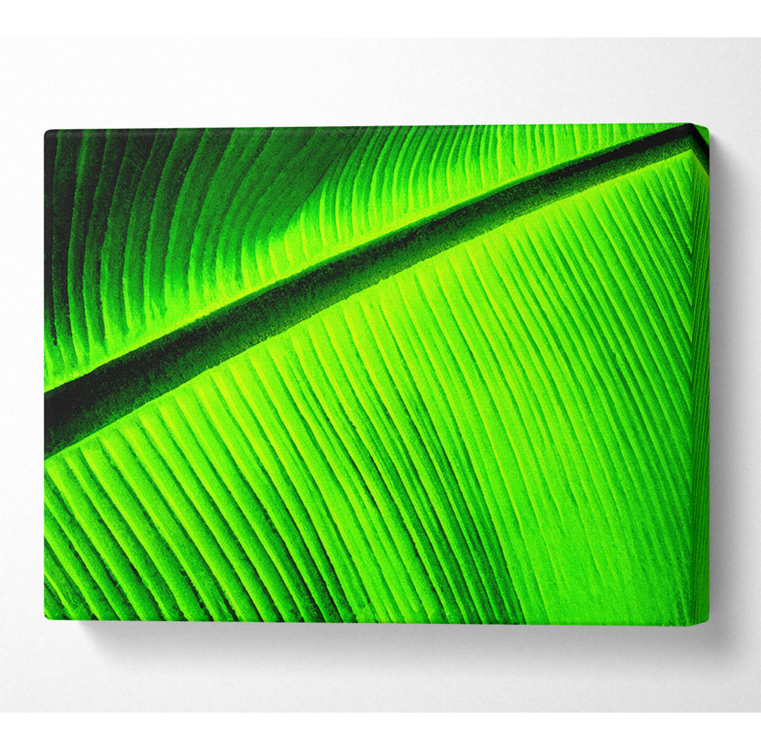 Light Of The Green Leaf - Kunstdrucke auf Leinwand - Wrapped Canvas