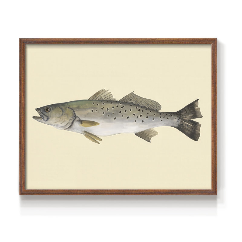 Saltwater Species II -Framed Print - Restickable, H 8 po x l 10 po, Noyer