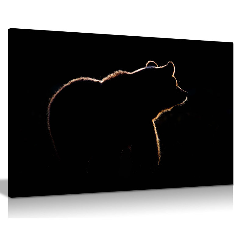 Bear in the Dark Wildlife 1 Piece Wrapped Canvas Wall Art, 61cm H x 91cm W