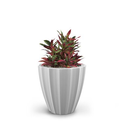 Aramenta Self-Watering Weather-Resistant Resin Pot Planter