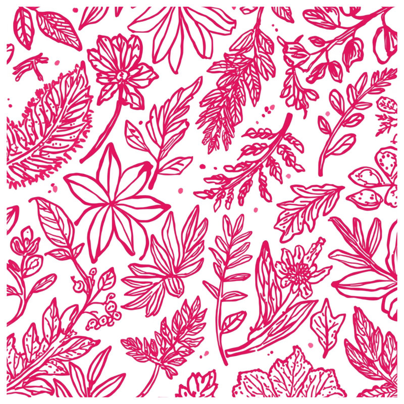 Tapisserie murale «Pink Botanical Illustration» - décoration murale florale, 68 po H x 80 po L avec 4 œillets
