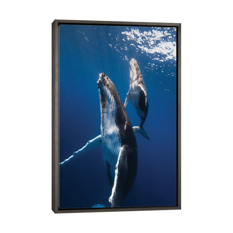 «Back to the Surface» par Barathieu Gabriel - reproduction de photo, Aucun mat, H 26 po x l 18 po x 1,5 po