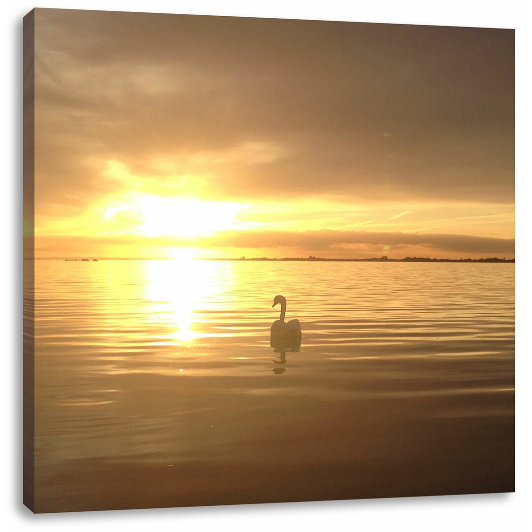 Leinwandbild Einsamer Schwan auf See