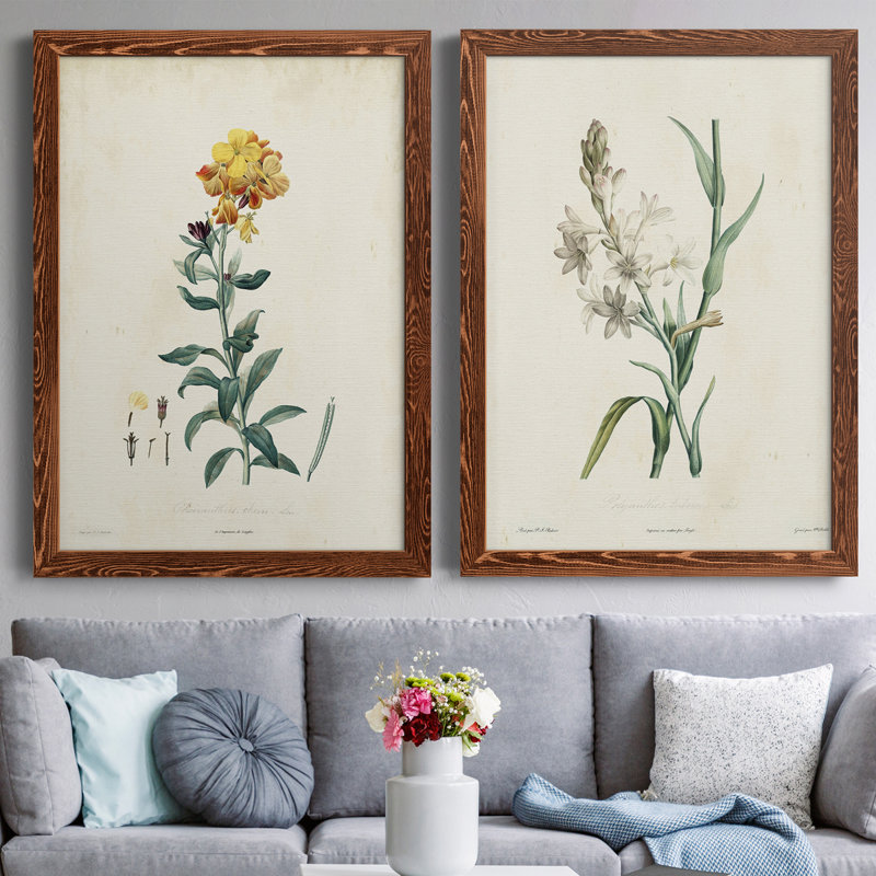 Toile encadrée de qualité supérieure Traditional Botanical III - prête à être accrochée, H 24 po x l 36 po x P 1,5 po