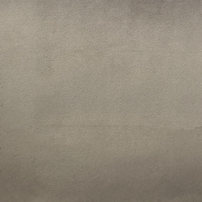 Solid Velvet | Velluto Fabric, Platinum