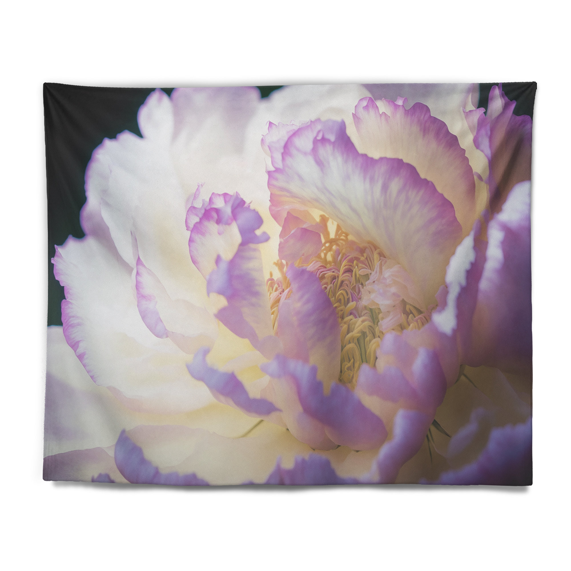 Red Barrel Studio® Blossoming Pink And White Peony III - Floral Peony ...
