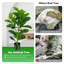Faux Fiddle Leaf Fig Tree in Pot-452357423