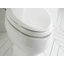 French Curve Elongated Toilet Seat-1630926900-1678637889