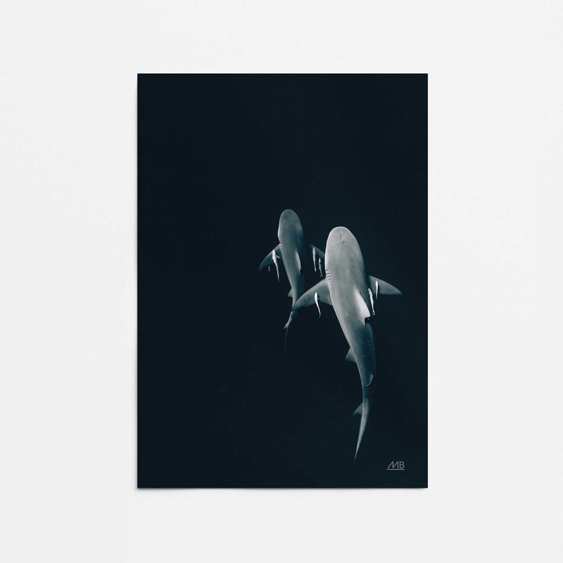 Serene Shark Shadows Print, No Frame, 24" H x 18" W