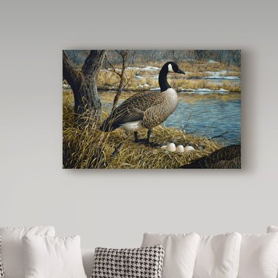 Canadian Goose' Graphic Art Print on Wrapped Canvas -  Trademark Fine Art, ALI30136-C1219GG
