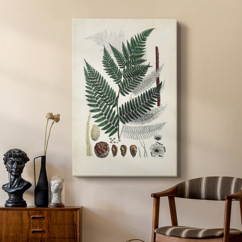 Collectionner Ferns IV - galerie sur mesure, H 12 po x l 8 po