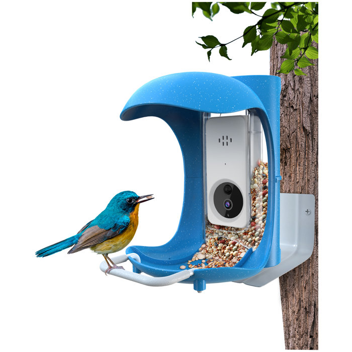 Mangeoire Intelligente Pour Oiseaux Avec Caméra, Caméra De Nichoir