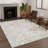 Machine Washable Indoor/Outdoor Chantille ACN2675 Global Rug-744790940-744790941