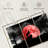 Wolf And Moon-236086238