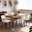 Upholstered Dining Chair