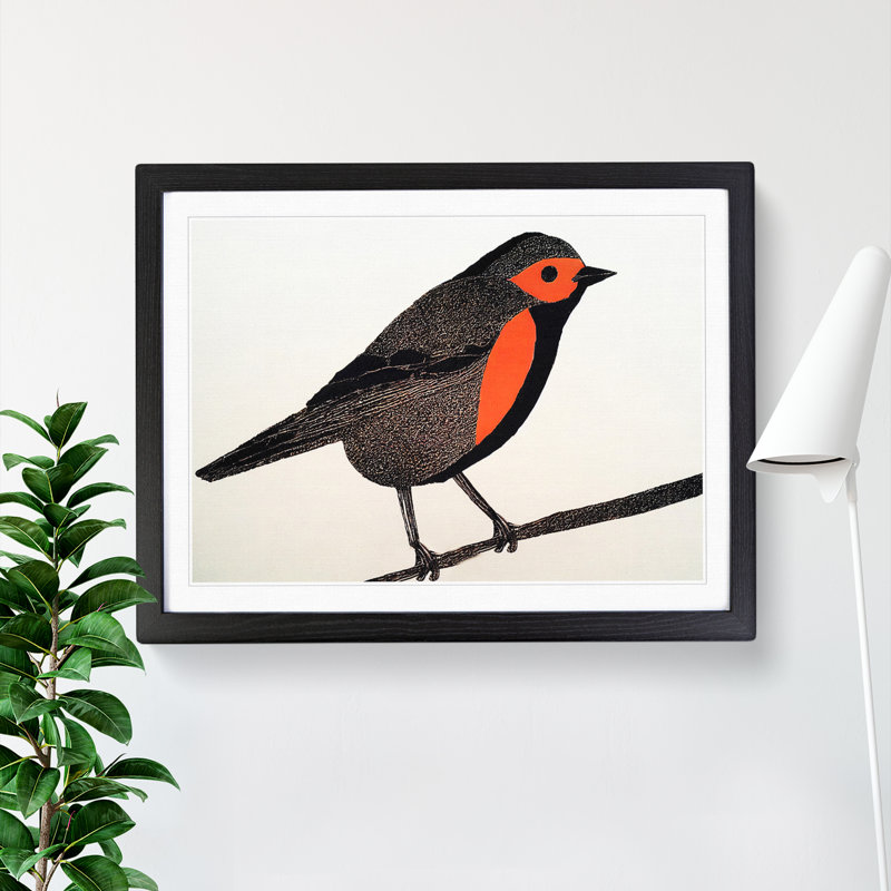 Shining Robin Bird - Framed Print, 34cm H x 46cm W x 2cm D, Black
