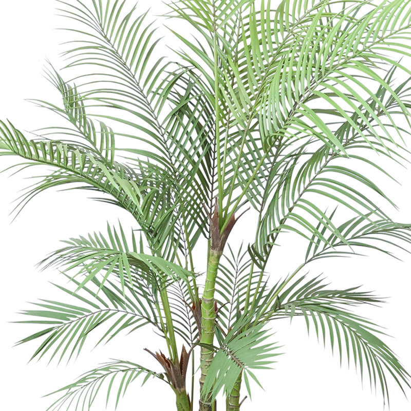 Outdoor UV Rated Kentia Palm Drop-In