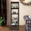 Ajani Ladder Storage Bookcase-718324220