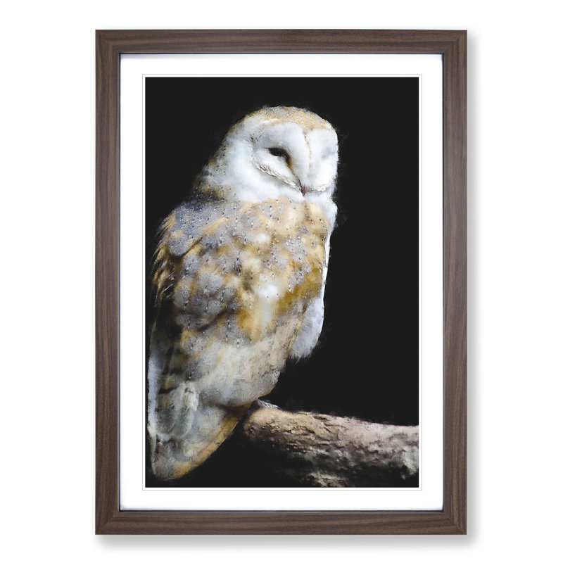 Barn Owl Vol.3 - Picture Frame Painting, Walnut Framed, 48cm H x 36cm W x 2cm D