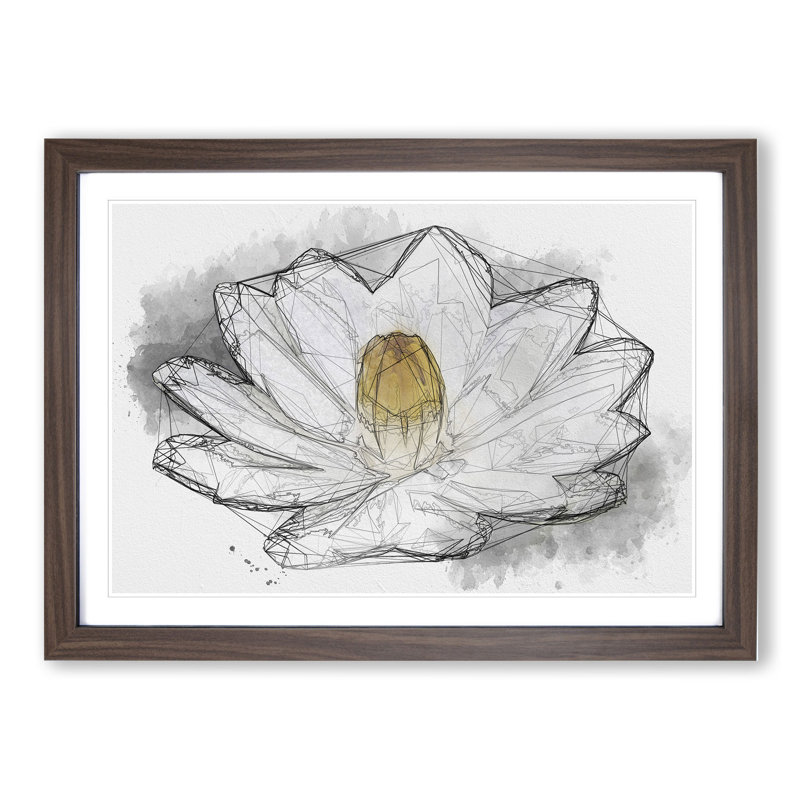 Heart of a White Lily - Picture Frame Graphic Art, Walnut Framed, 36cm H x 48cm W x 2cm D