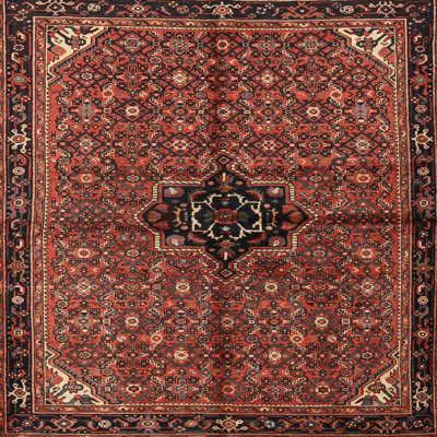 Oriental Indoor Rug