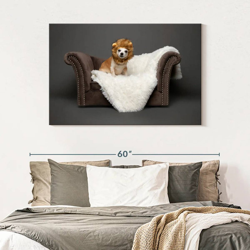 Ketti Funny Chihuahua Lion