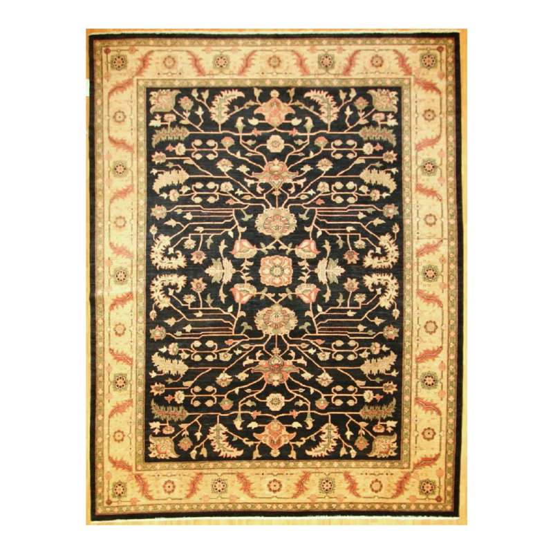Dreams Oriental Indoor Rug
