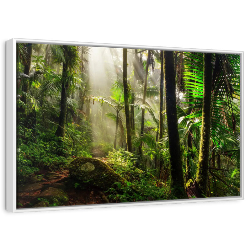 Forêt nationale d'El Yunque, 19 po x 13 po, Cadre flottant blanc