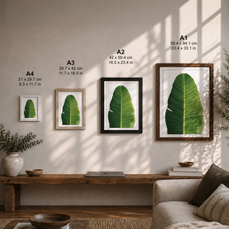 Tropical Leaf Study Botanical - Print, Black, A3 - 42.0 x 29.7 cm