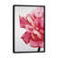 « rose double i », impression sur toile-29483390-73561060-73561059