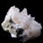 Pink Heulandite on Mordenite. Idaho