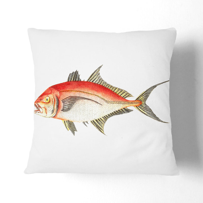Square Cushion, Black, 55cm H x 55cm W x 20cm D