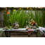 Ardmore 'Monkey Paradise' Cotton Runner-50351434-50351436