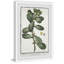 The Foliage by Parvez Taj - Single Picture Frame Print-790183313